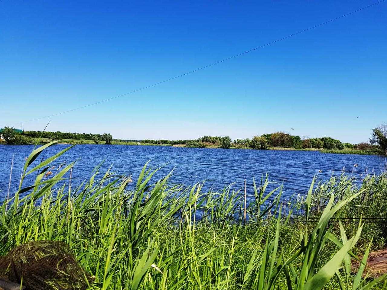 Биопрепараты для водоемов от производителя